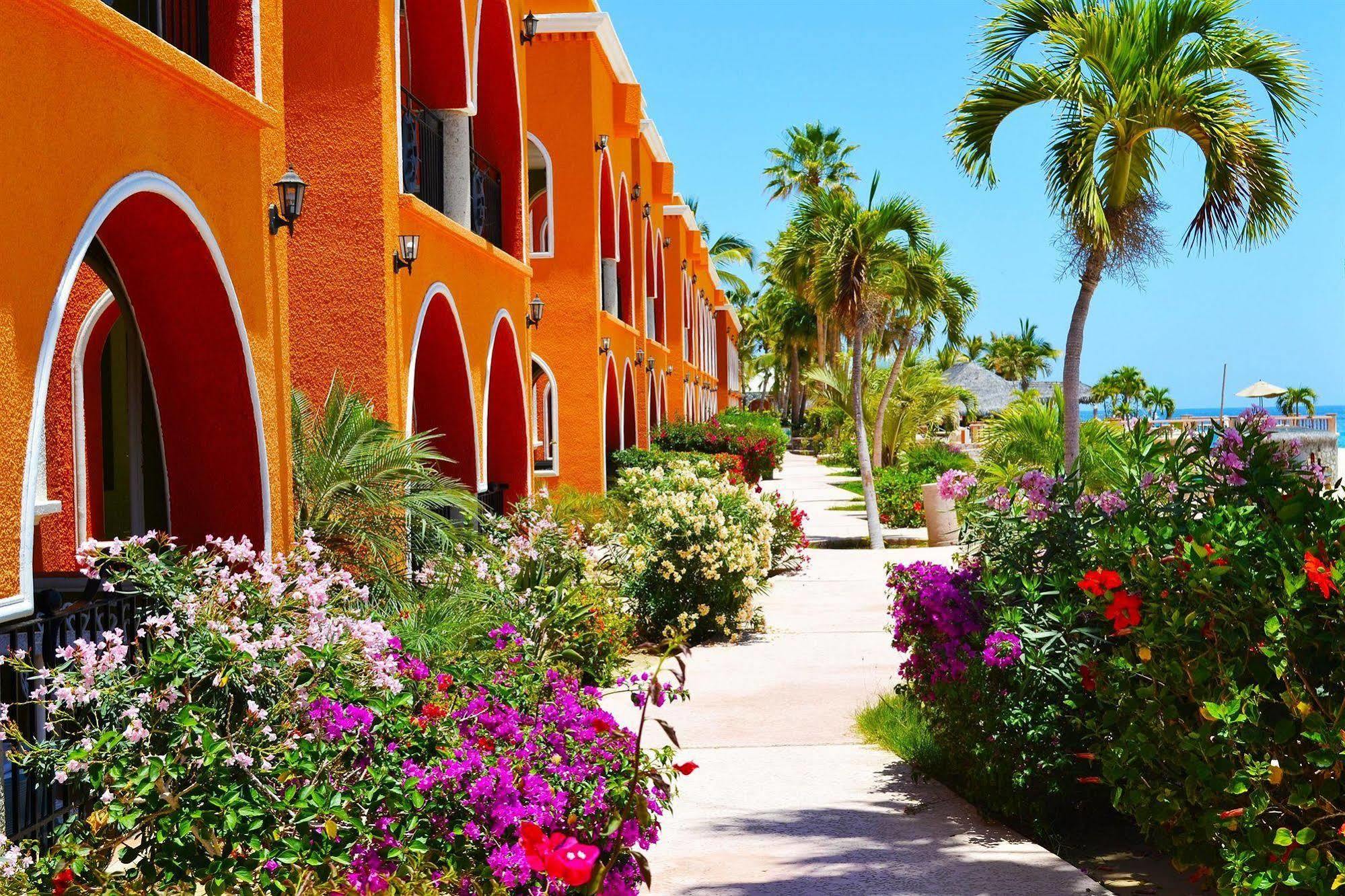 Hotel Palmas De Cortez ロス・バリレス エクステリア 写真